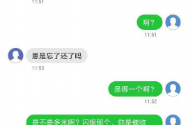 温岭为什么选择专业追讨公司来处理您的债务纠纷？